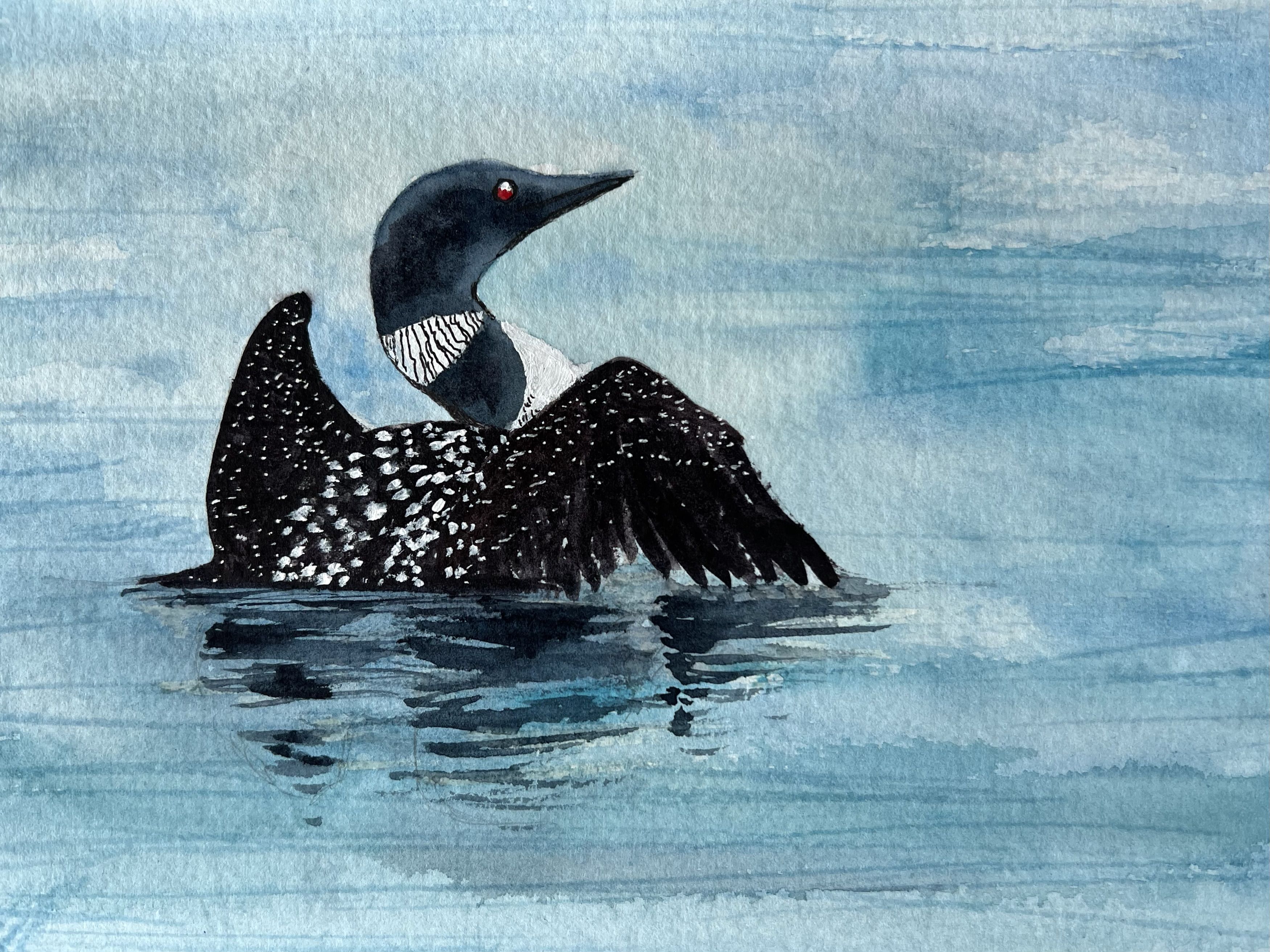 Loon Spreading Wings